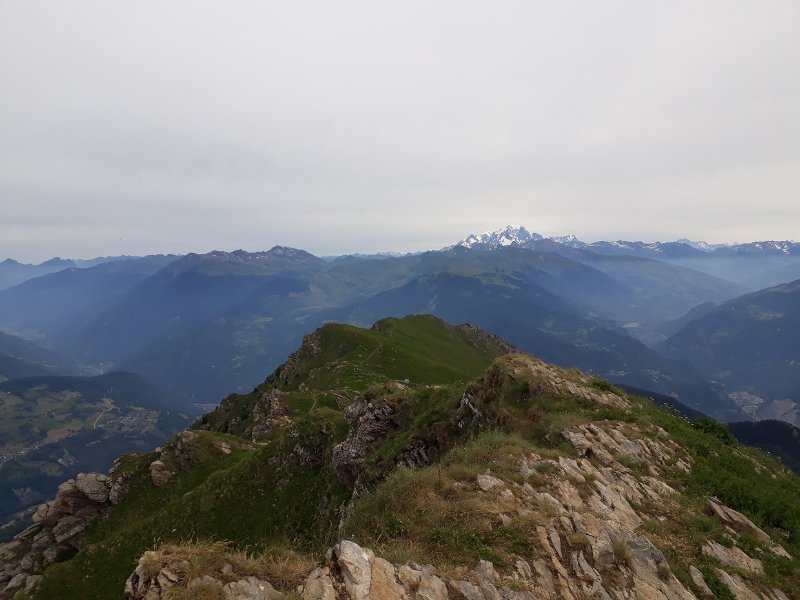 2019-07-11 10.50.43.jpg